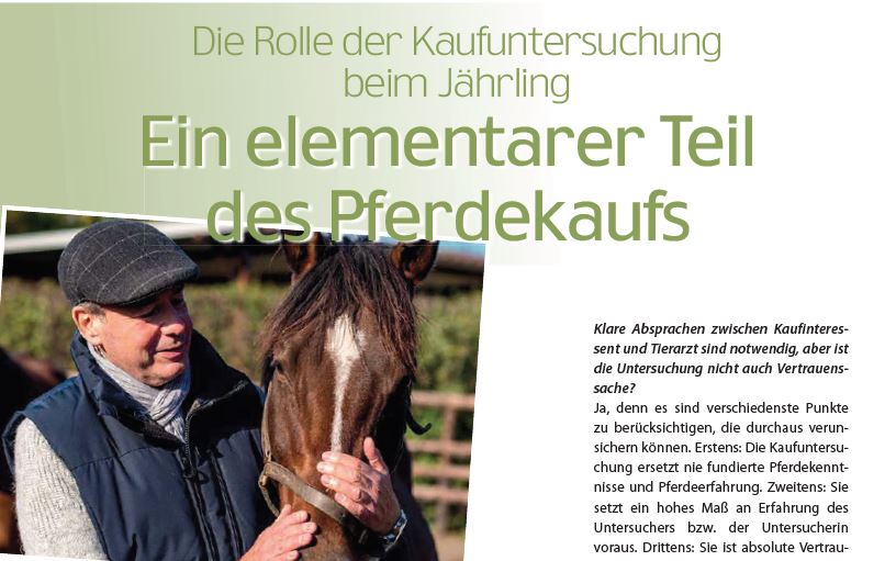 Kaufuntersuchung beim Jährling