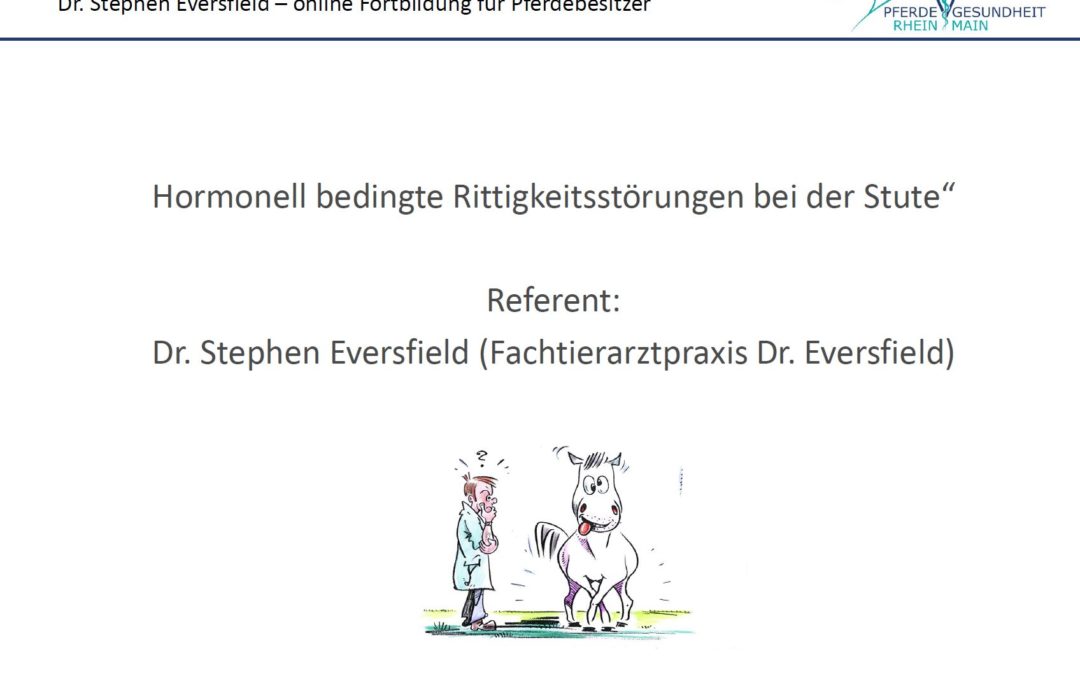 Rittigkeitsprobleme bei Stuten