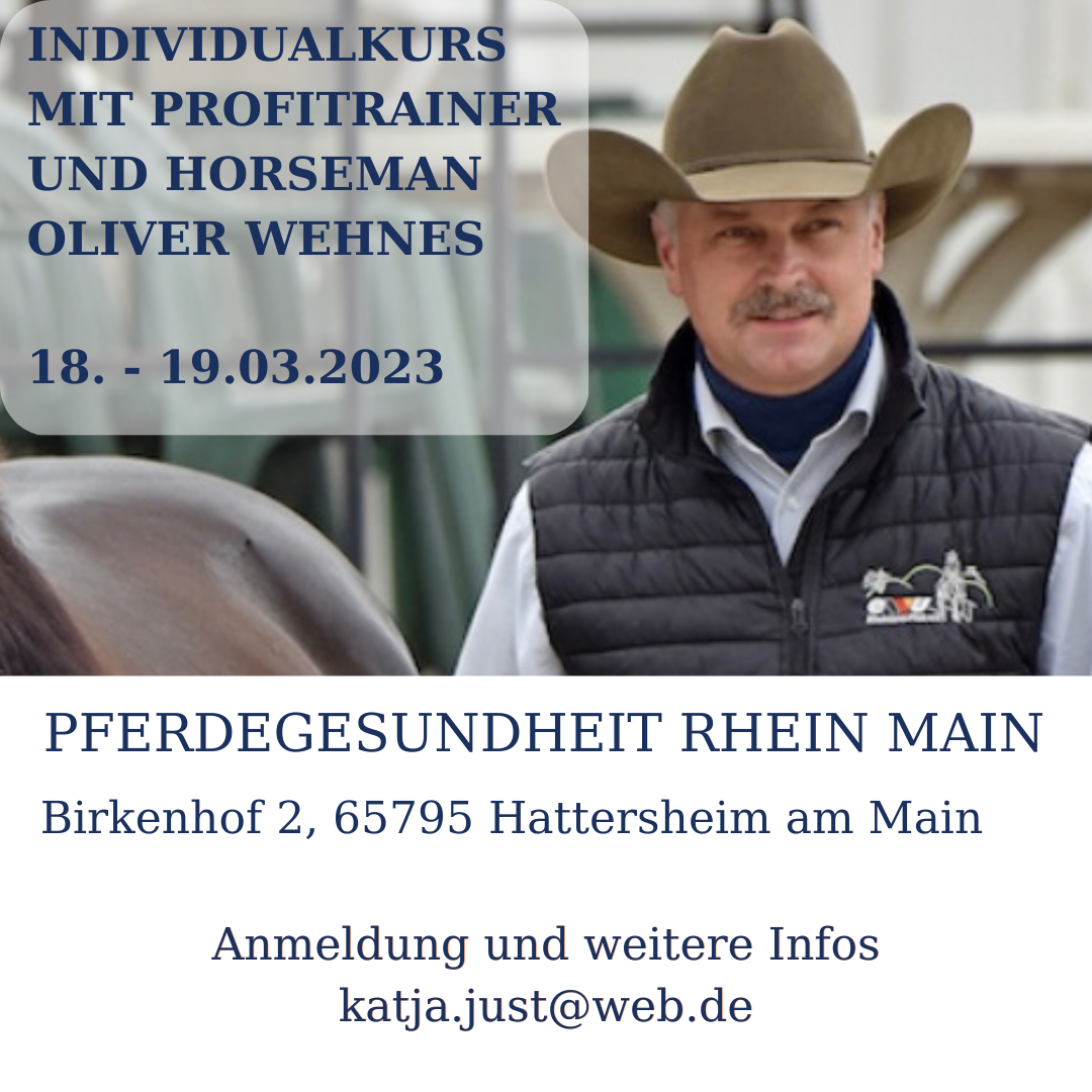 Westernreiten Kurs Oliver Wehnes Pferdegesundheit Rhein Main Hattersheim
