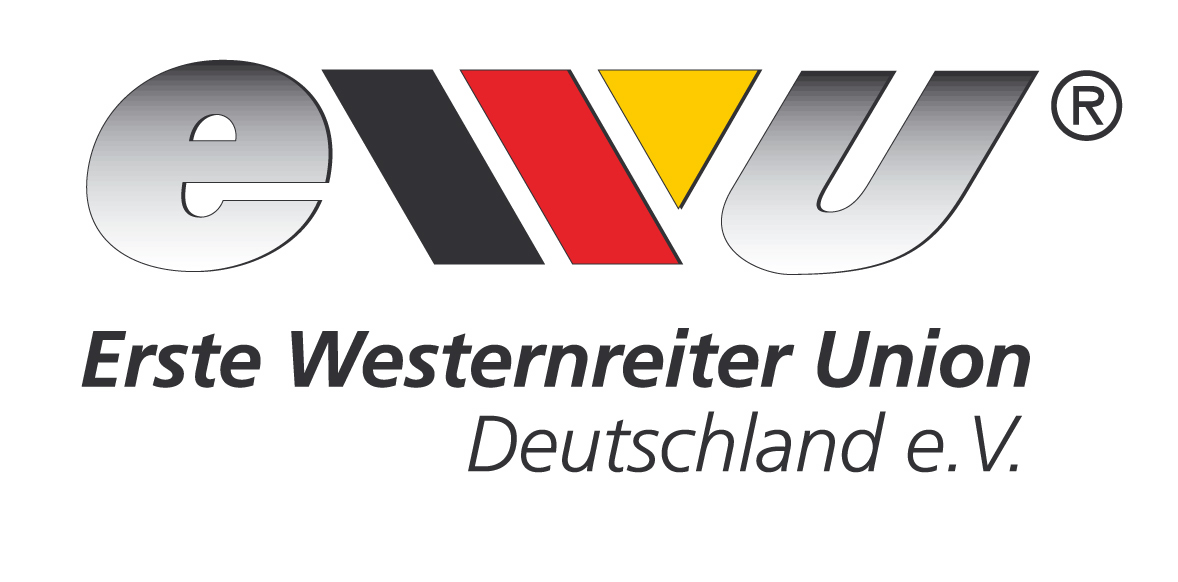 ewu Erste Western Union Kurs mit Oliver Wehnes